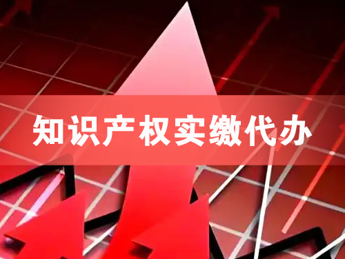 成都知识产权实缴资本代办